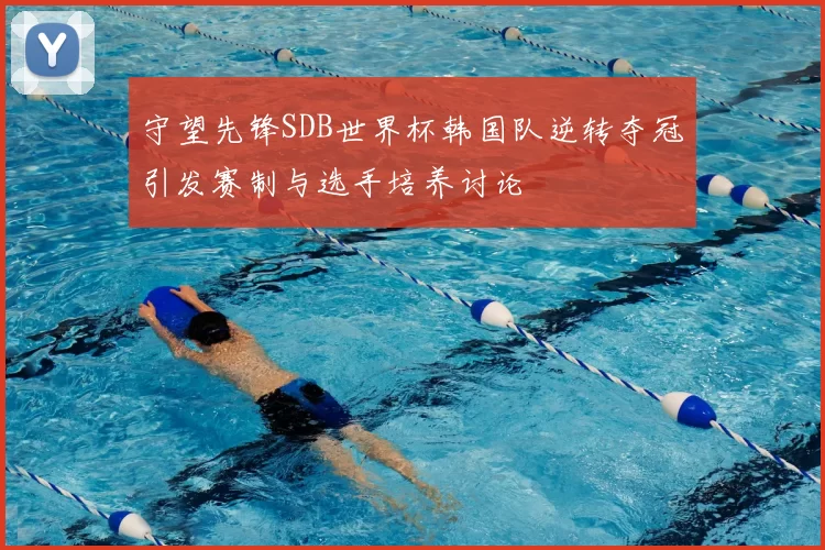 守望先锋SDB世界杯韩国队逆转夺冠引发赛制与选手培养讨论